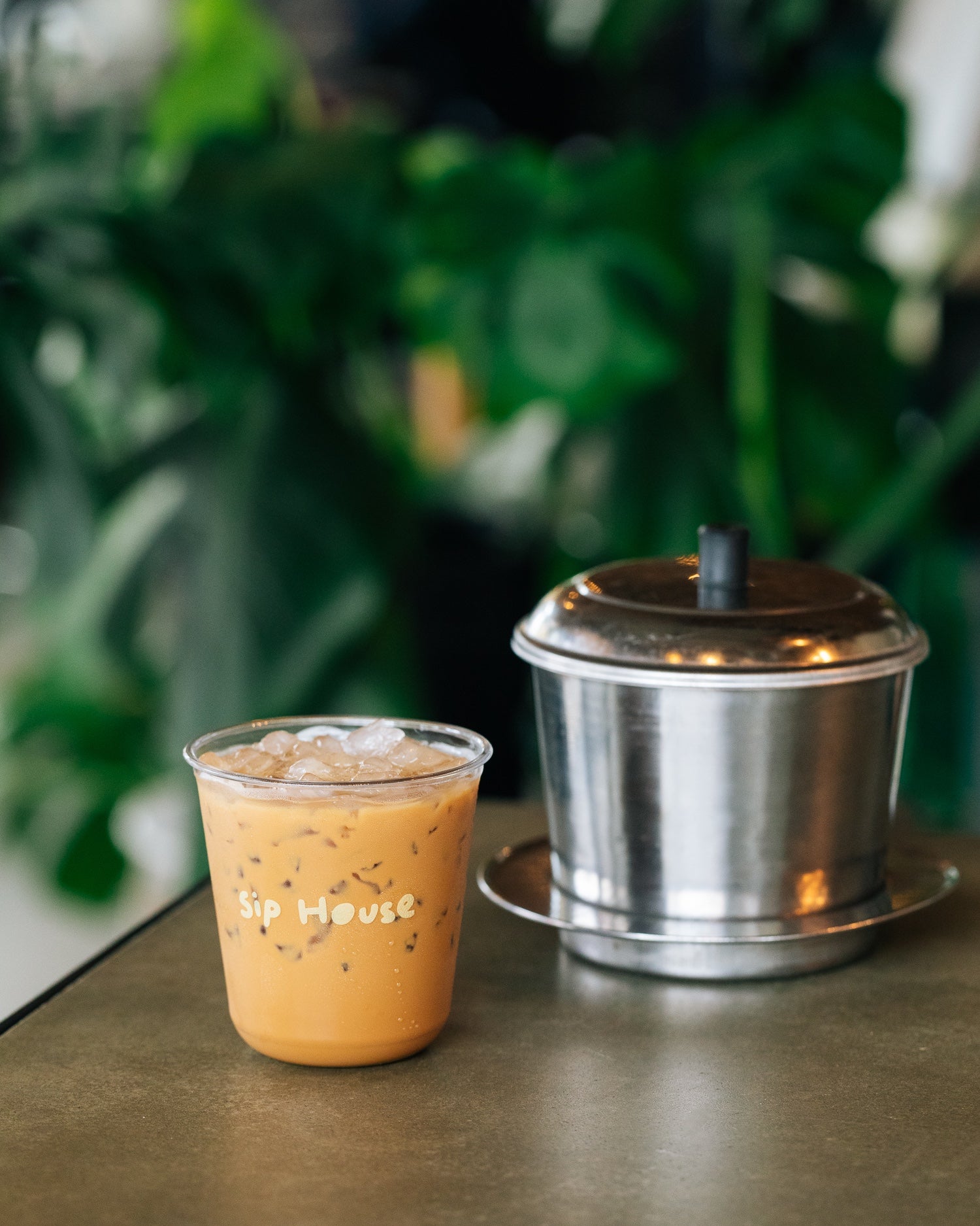 コーヒー生豆 Ceylan robusta １.８キロ Robusta Beans (500g~18oz) | Sip House Seattle